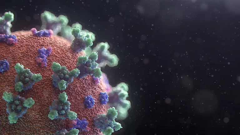 Communiqué Covid-19 du 9 janvier 2021￼